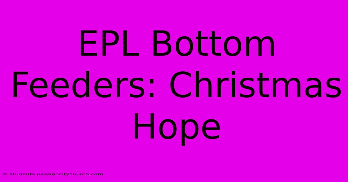 EPL Bottom Feeders: Christmas Hope