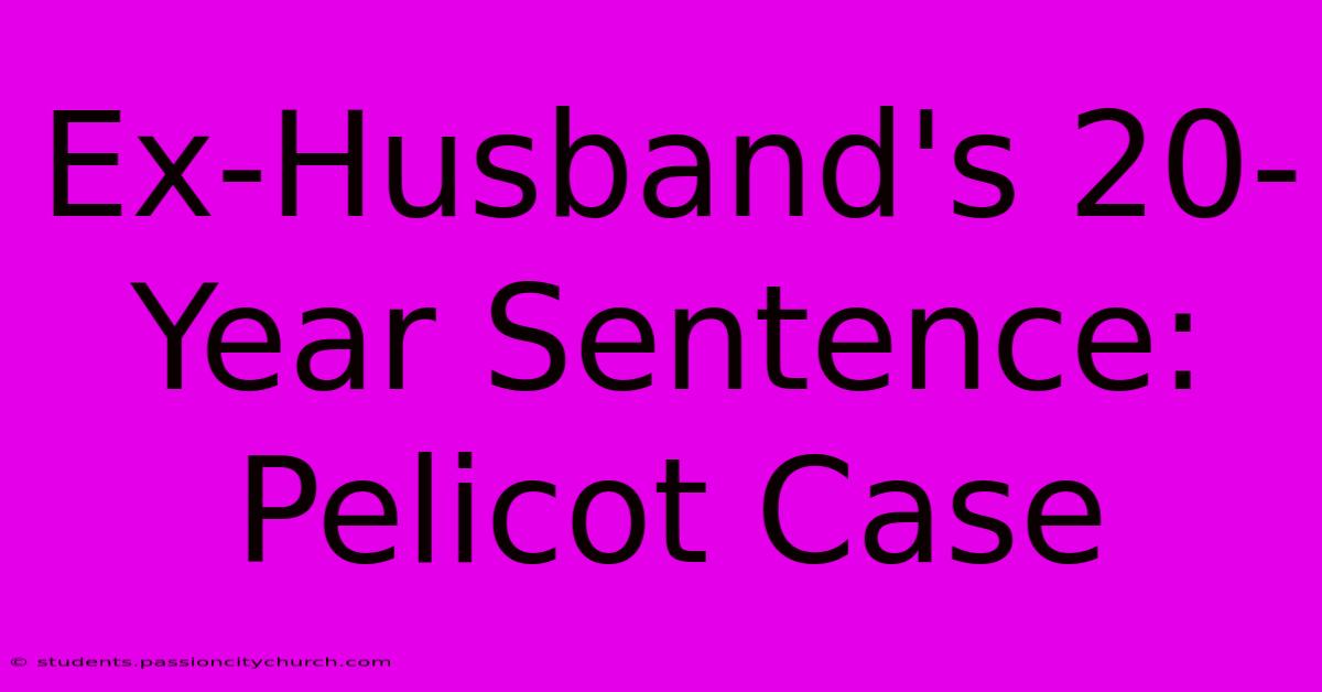 Ex-Husband's 20-Year Sentence: Pelicot Case