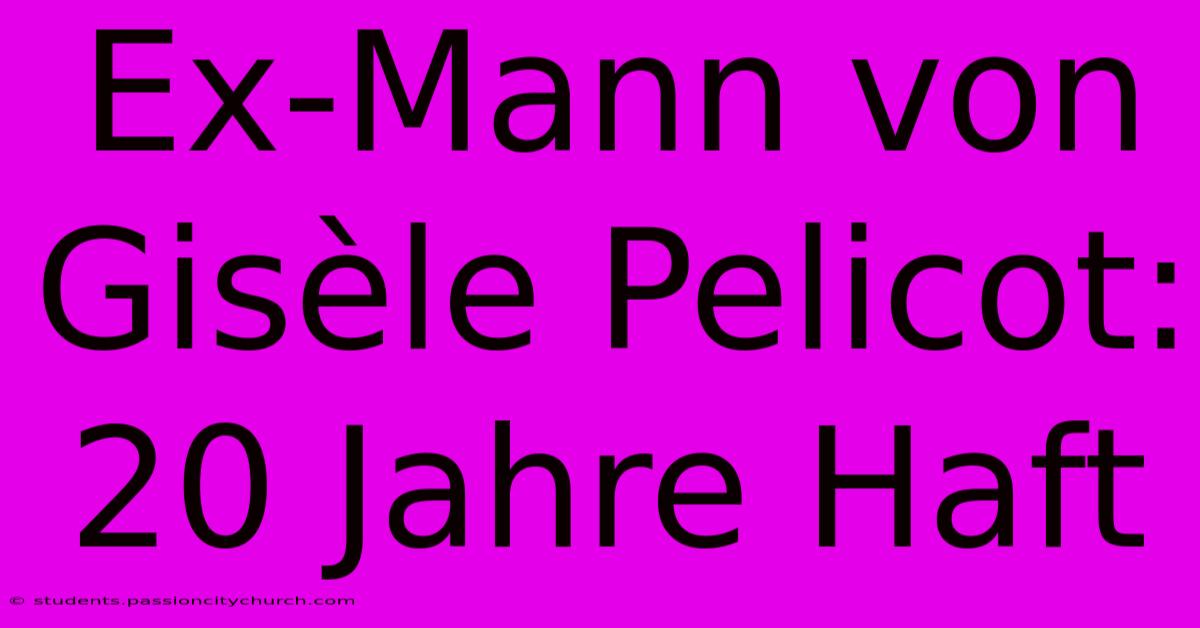 Ex-Mann Von Gisèle Pelicot: 20 Jahre Haft