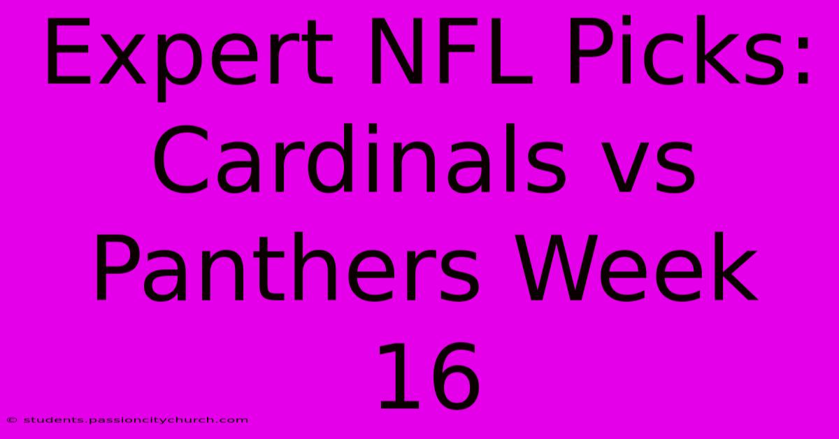 Expert NFL Picks: Cardinals Vs Panthers Week 16