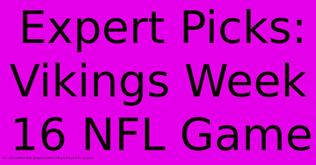 Expert Picks: Vikings Week 16 NFL Game