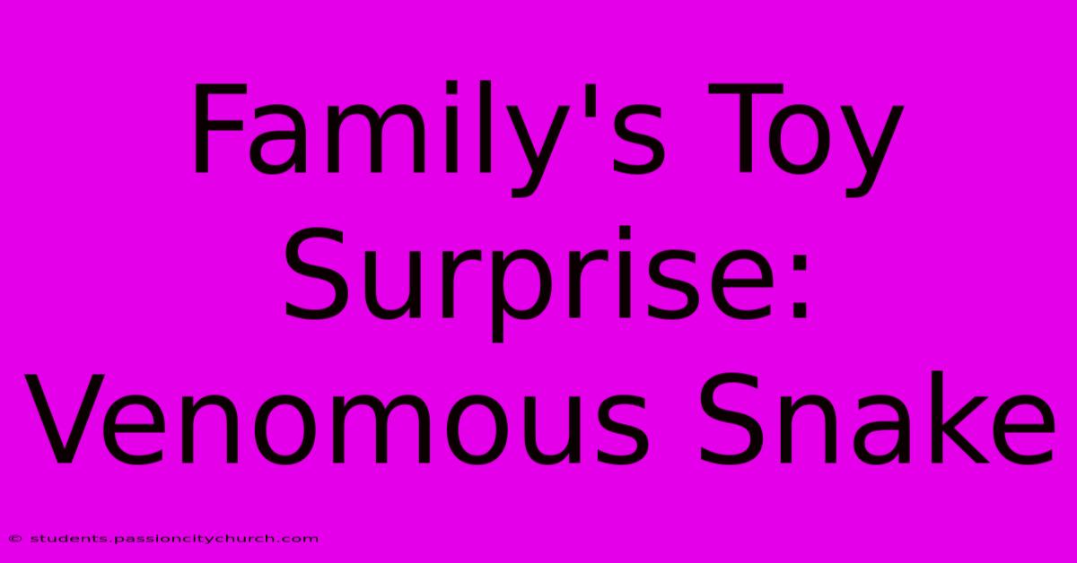 Family's Toy Surprise: Venomous Snake