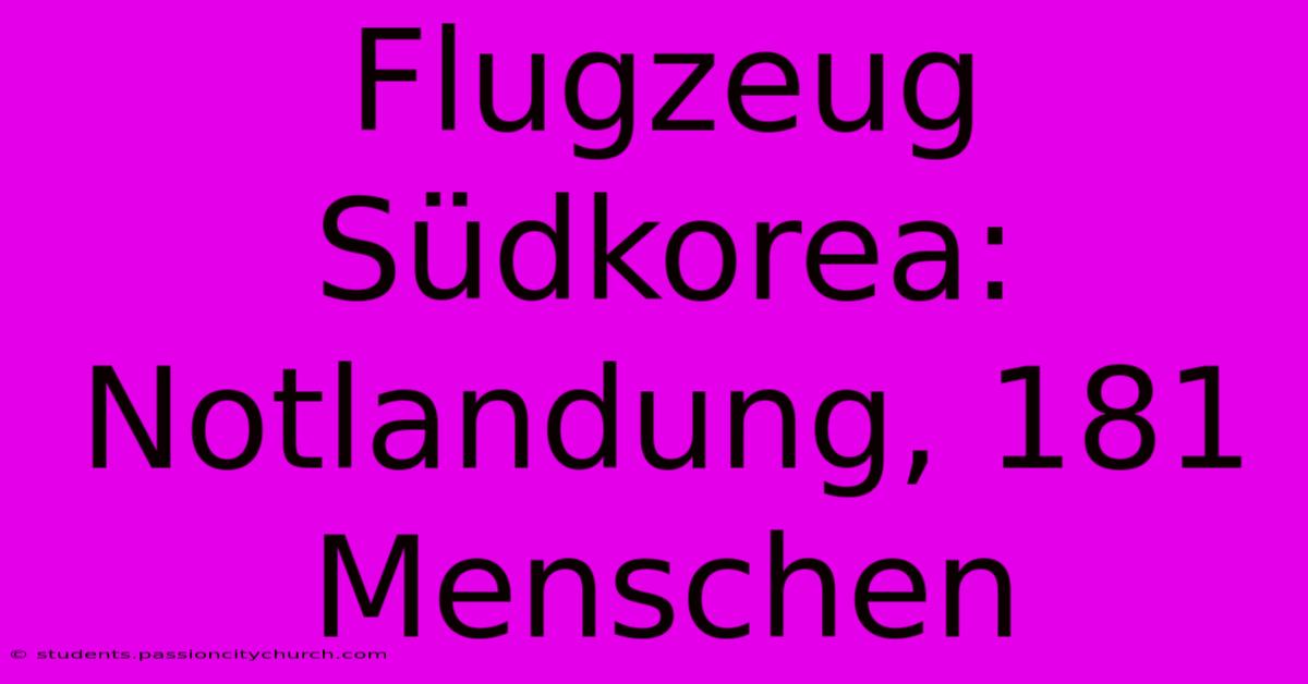 Flugzeug Südkorea: Notlandung, 181 Menschen