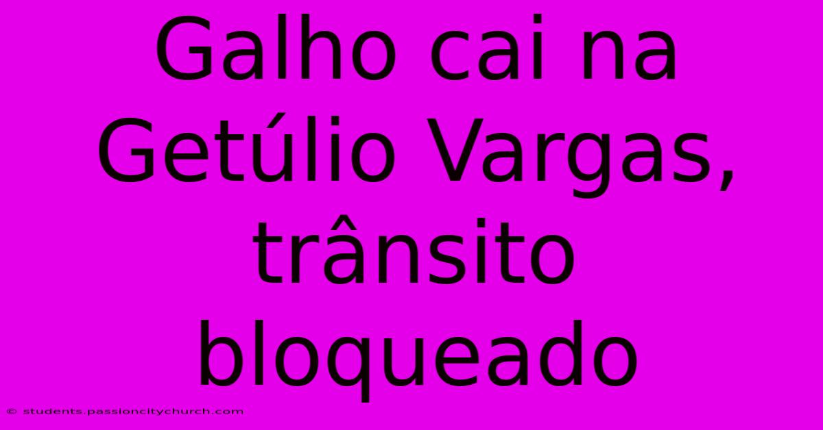 Galho Cai Na Getúlio Vargas, Trânsito Bloqueado