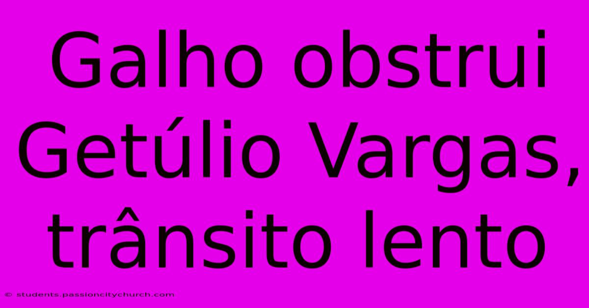 Galho Obstrui Getúlio Vargas, Trânsito Lento