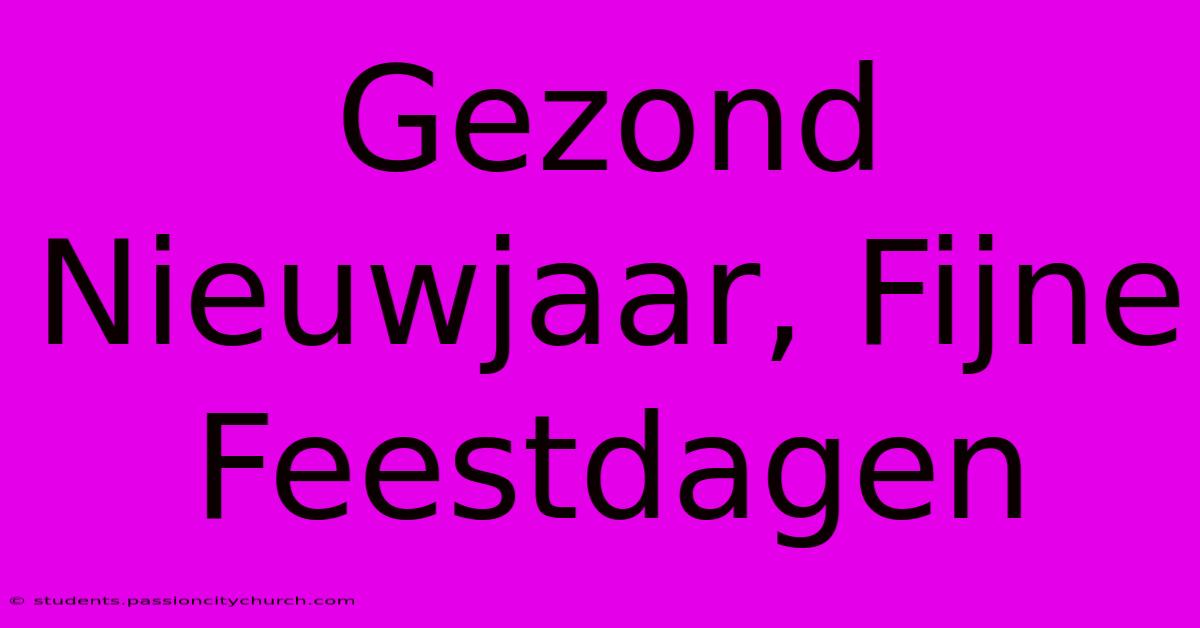 Gezond Nieuwjaar, Fijne Feestdagen