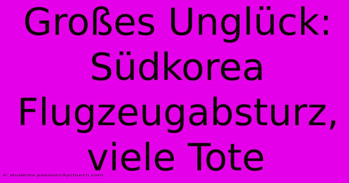 Großes Unglück: Südkorea Flugzeugabsturz, Viele Tote