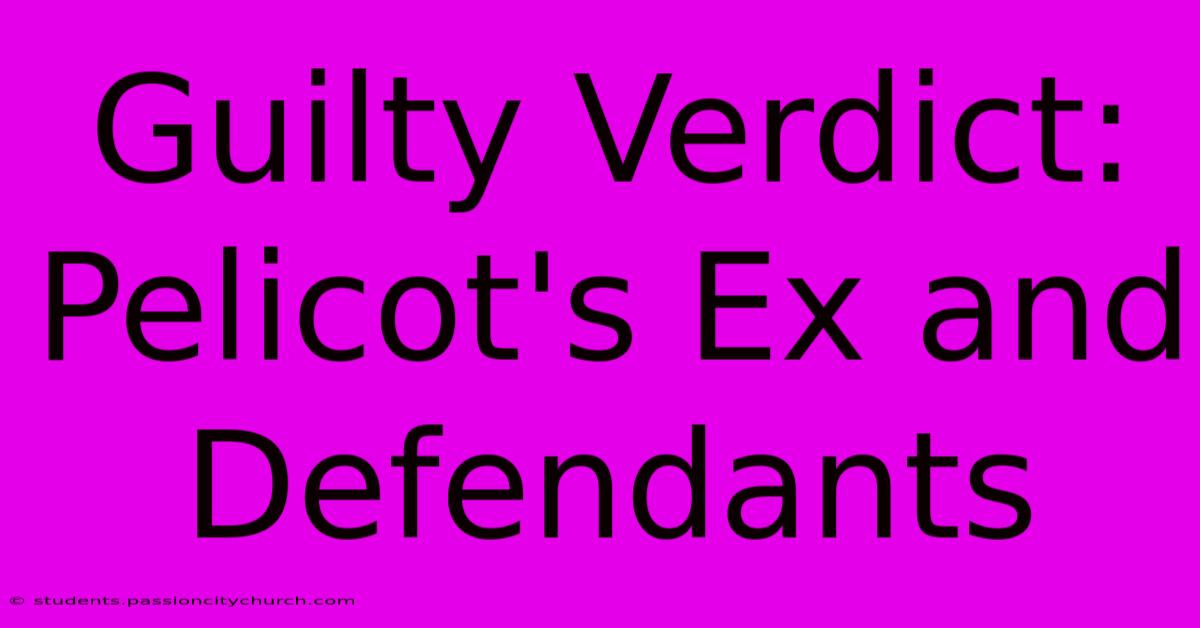 Guilty Verdict: Pelicot's Ex And Defendants