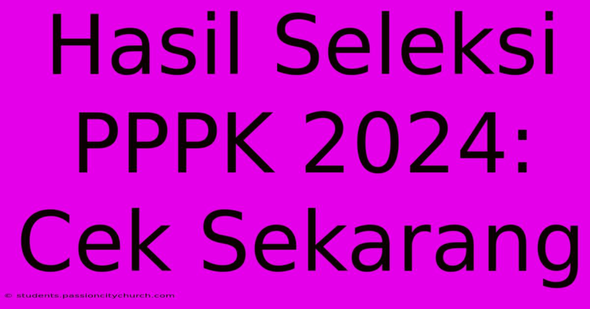 Hasil Seleksi PPPK 2024: Cek Sekarang