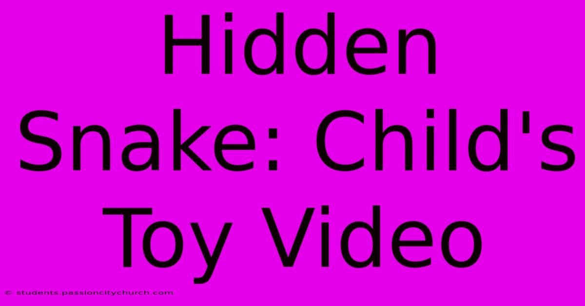 Hidden Snake: Child's Toy Video