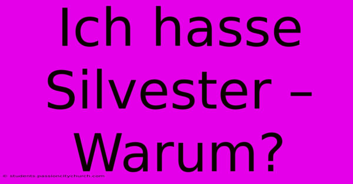 Ich Hasse Silvester – Warum?