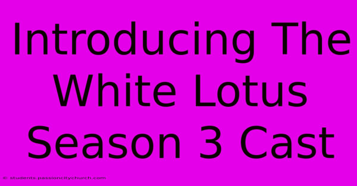 Introducing The White Lotus Season 3 Cast