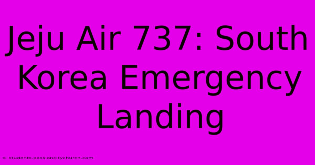 Jeju Air 737: South Korea Emergency Landing