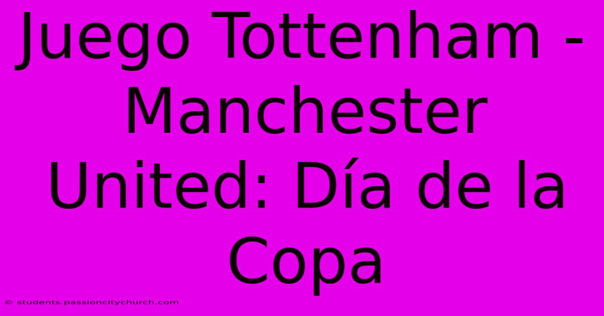 Juego Tottenham - Manchester United: Día De La Copa