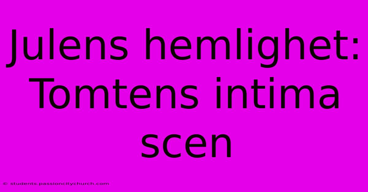 Julens Hemlighet: Tomtens Intima Scen