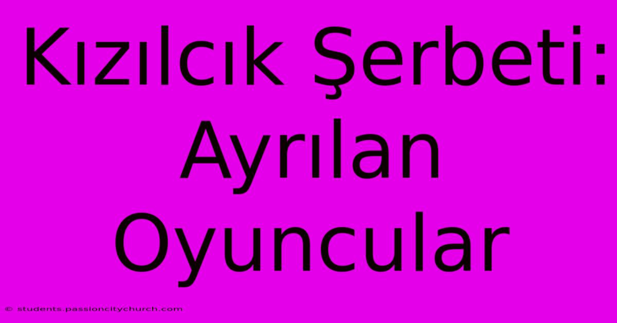 Kızılcık Şerbeti: Ayrılan Oyuncular