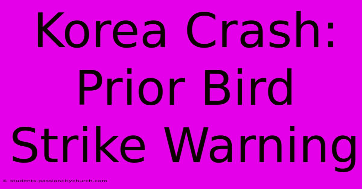 Korea Crash: Prior Bird Strike Warning