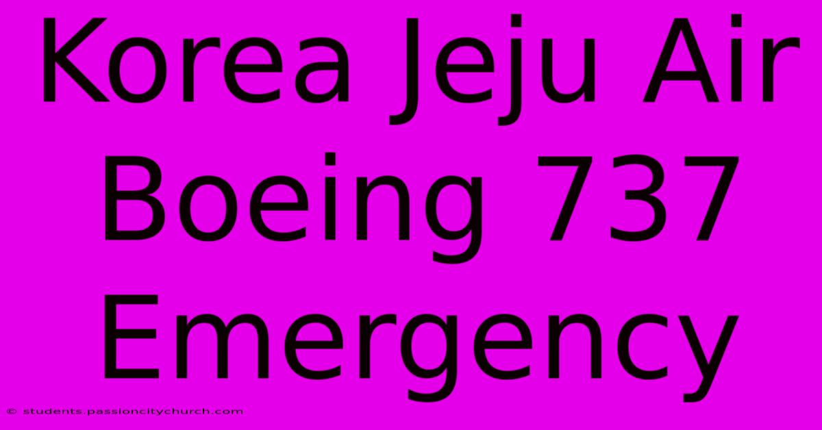 Korea Jeju Air Boeing 737 Emergency