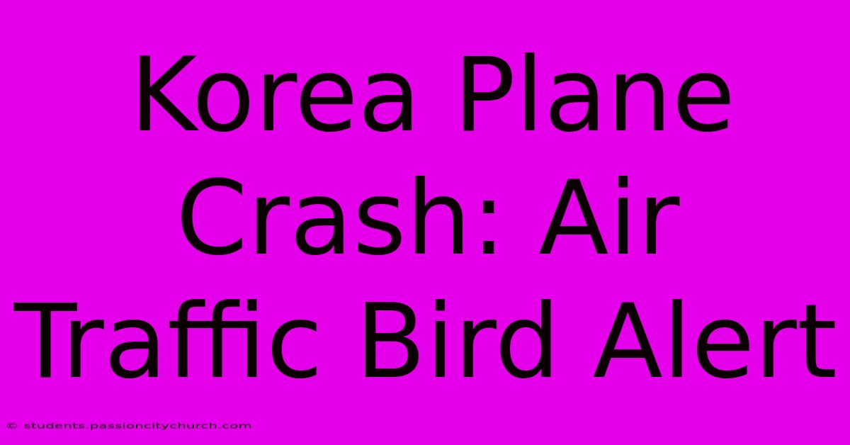 Korea Plane Crash: Air Traffic Bird Alert