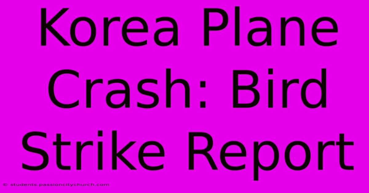 Korea Plane Crash: Bird Strike Report