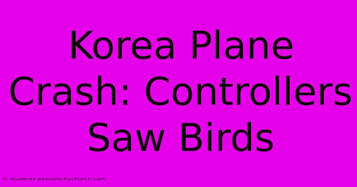 Korea Plane Crash: Controllers Saw Birds