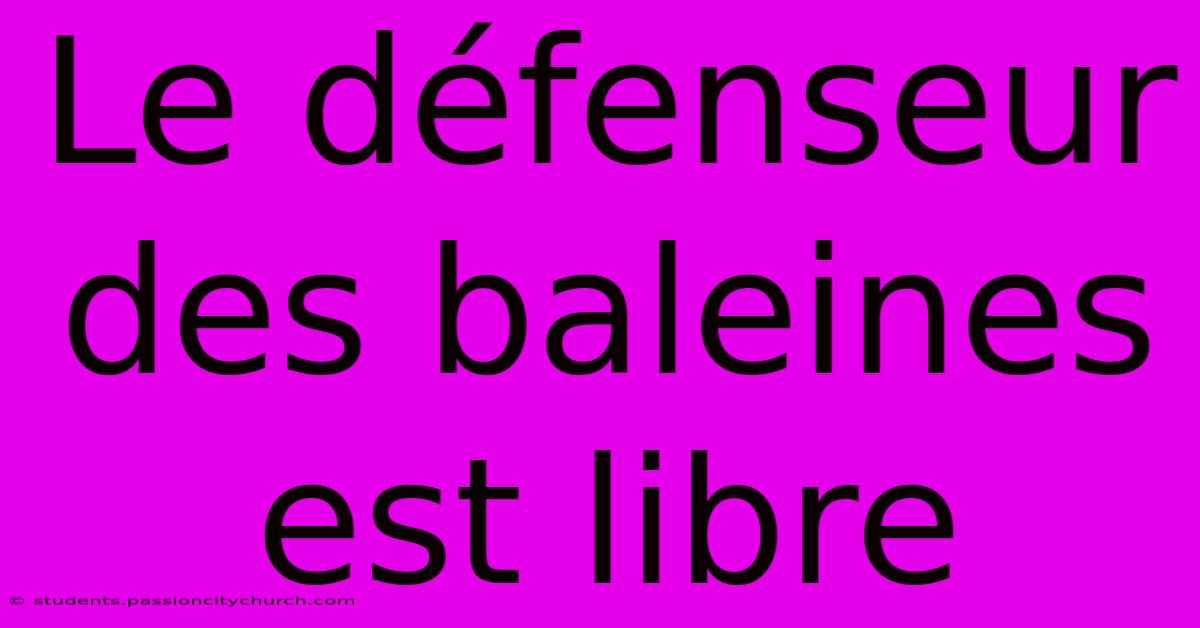 Le Défenseur Des Baleines Est Libre