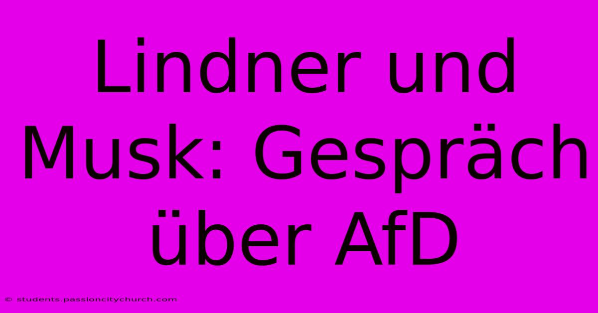 Lindner Und Musk: Gespräch Über AfD