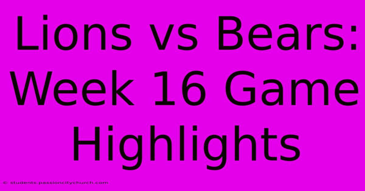 Lions Vs Bears: Week 16 Game Highlights