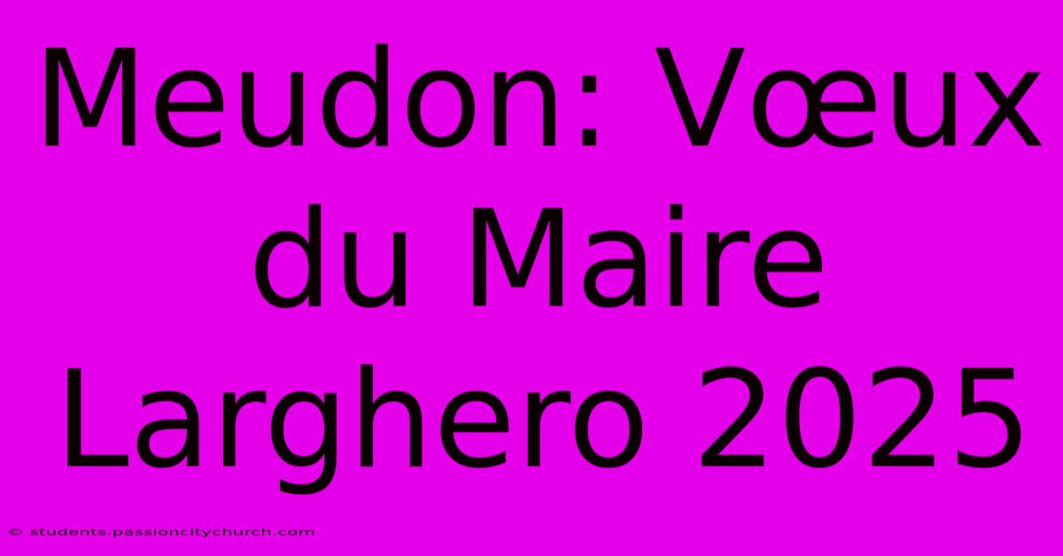 Meudon: Vœux Du Maire Larghero 2025