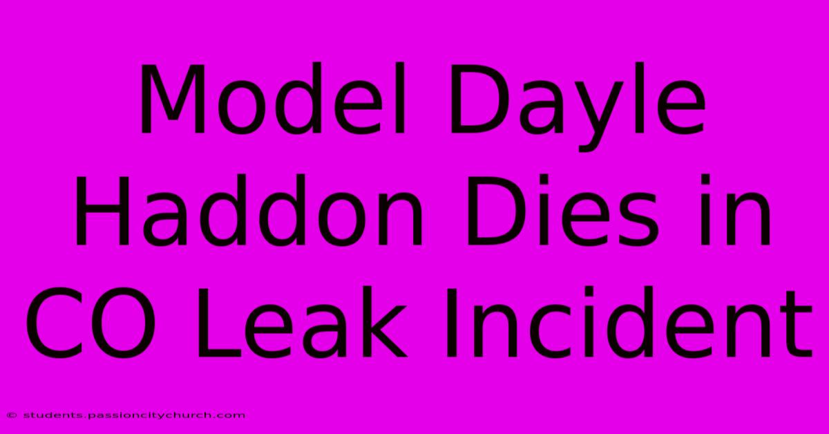 Model Dayle Haddon Dies In CO Leak Incident