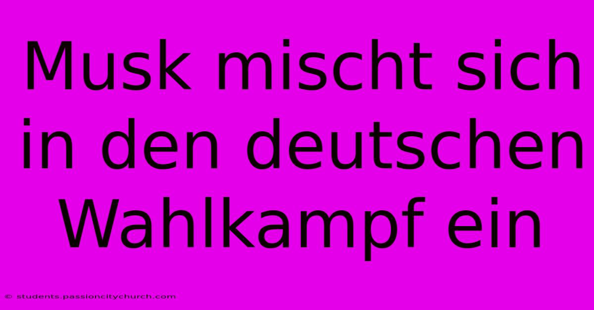 Musk Mischt Sich In Den Deutschen Wahlkampf Ein