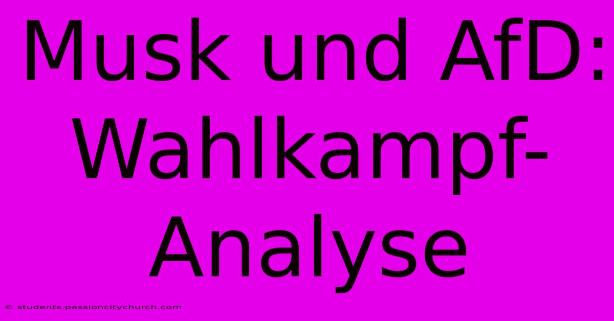 Musk Und AfD: Wahlkampf-Analyse