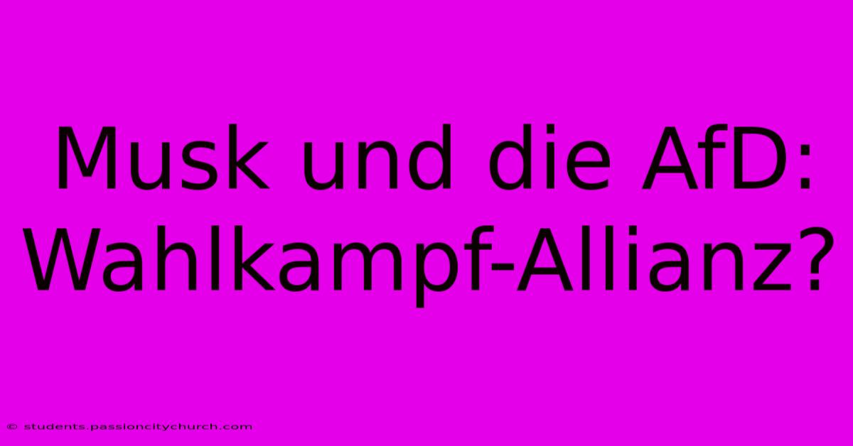 Musk Und Die AfD: Wahlkampf-Allianz?