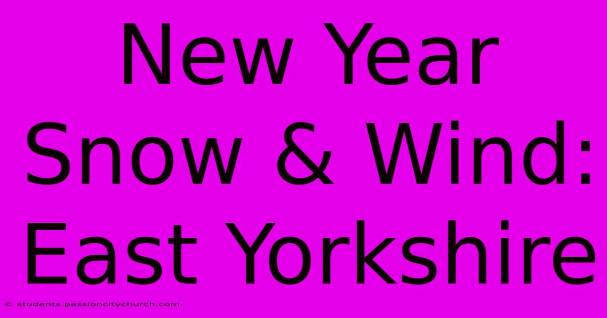 New Year Snow & Wind: East Yorkshire