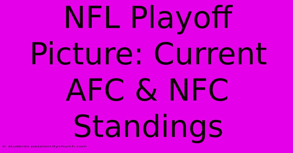 NFL Playoff Picture: Current AFC & NFC Standings