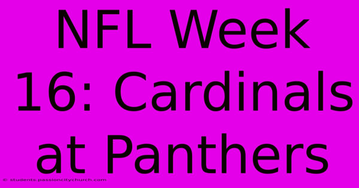 NFL Week 16: Cardinals At Panthers