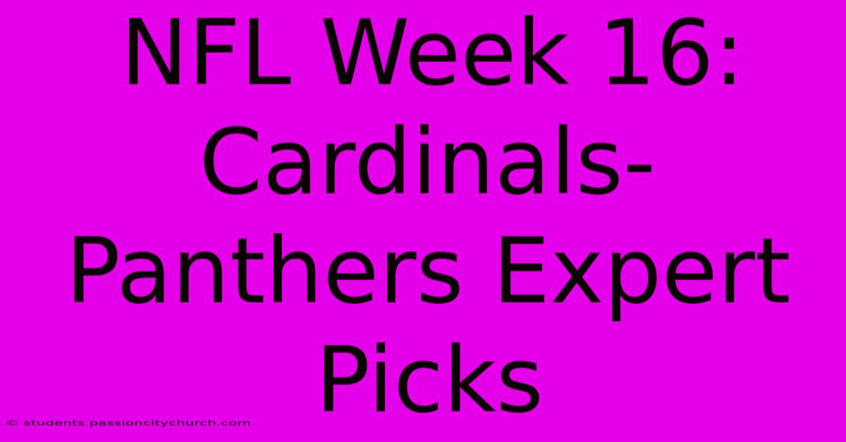 NFL Week 16: Cardinals-Panthers Expert Picks