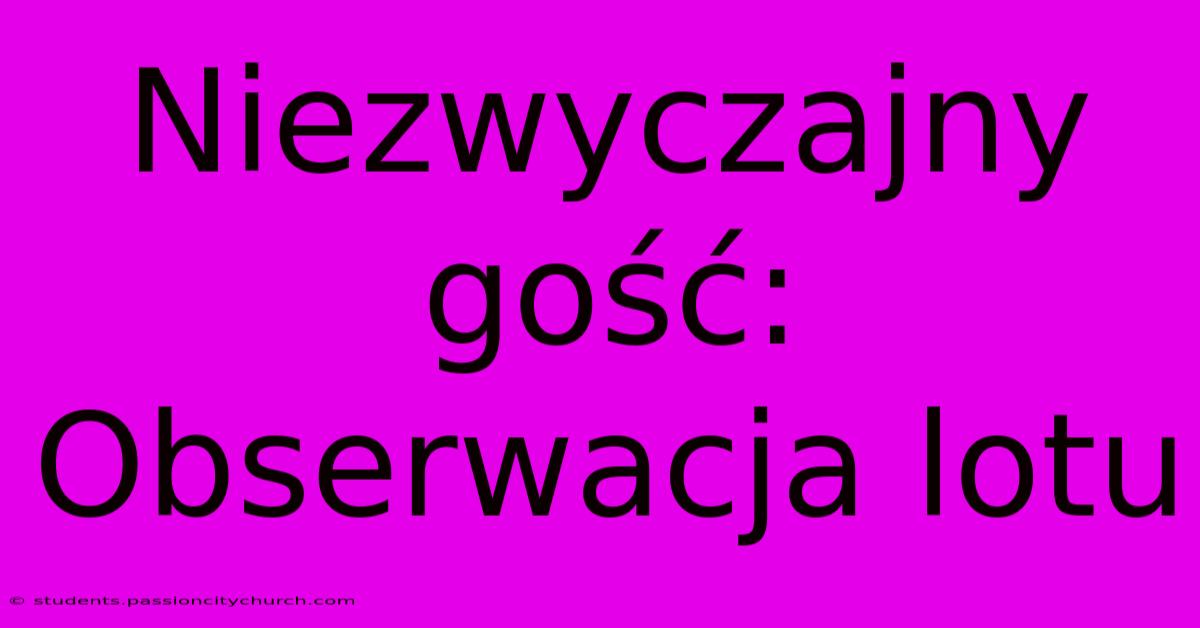 Niezwyczajny Gość:  Obserwacja Lotu