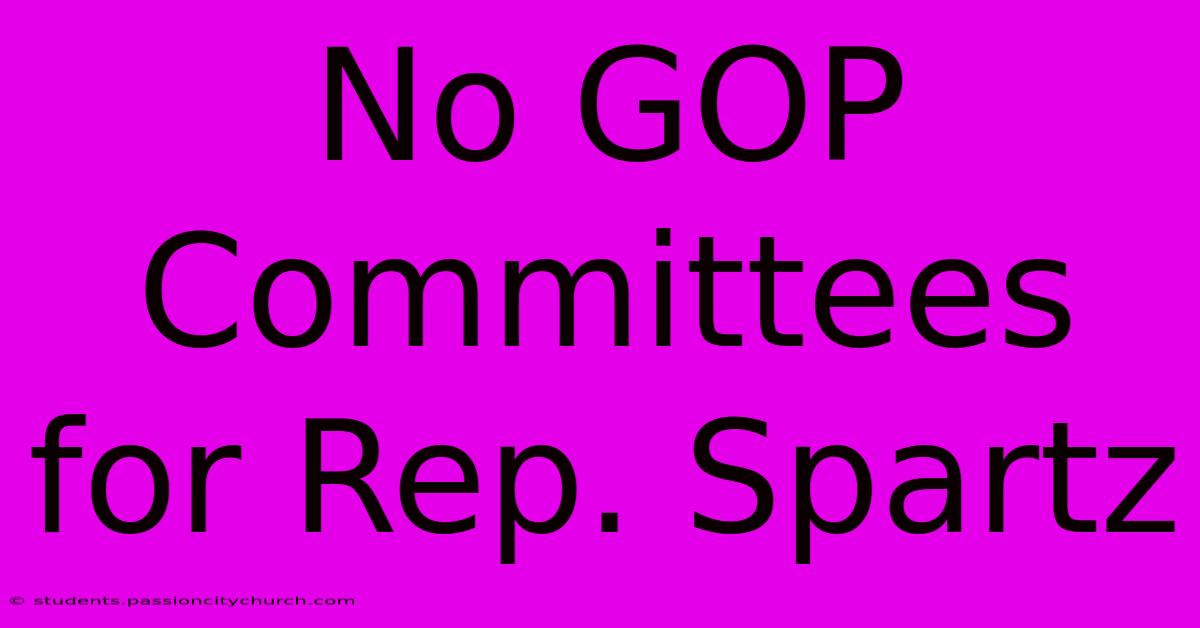 No GOP Committees For Rep. Spartz