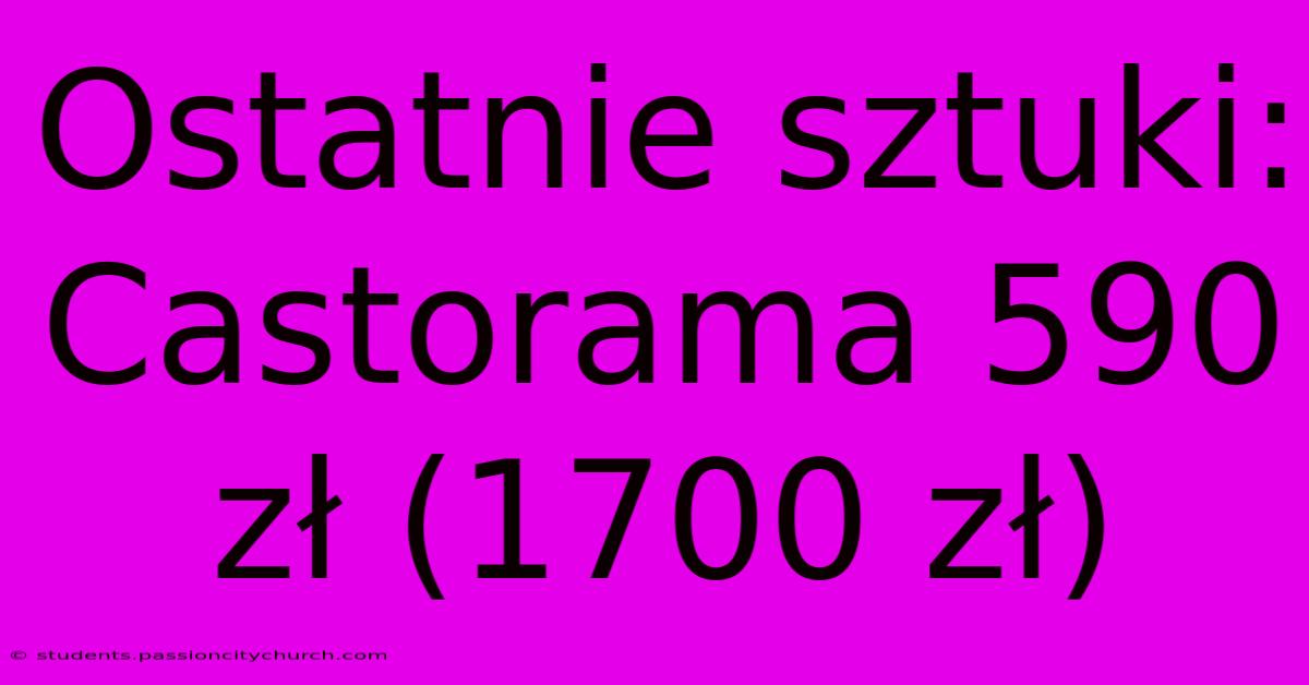 Ostatnie Sztuki: Castorama 590 Zł (1700 Zł)