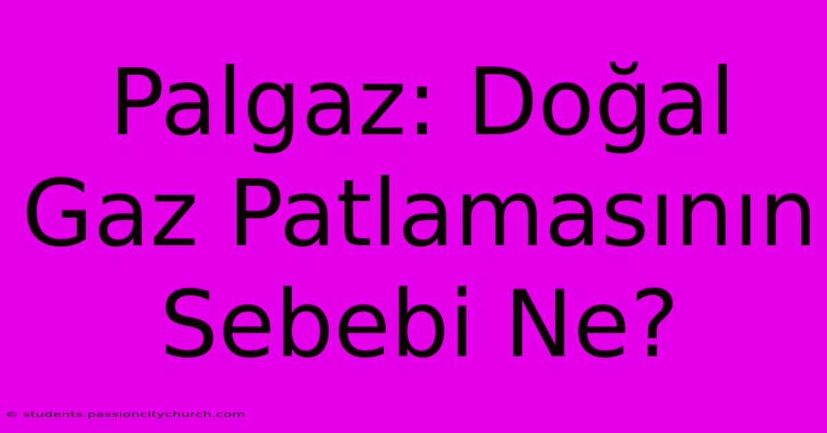 Palgaz: Doğal Gaz Patlamasının Sebebi Ne?