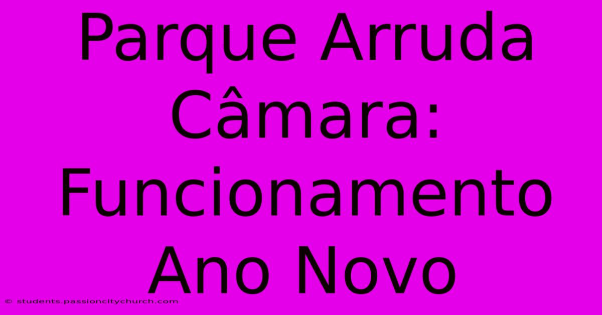 Parque Arruda Câmara: Funcionamento Ano Novo