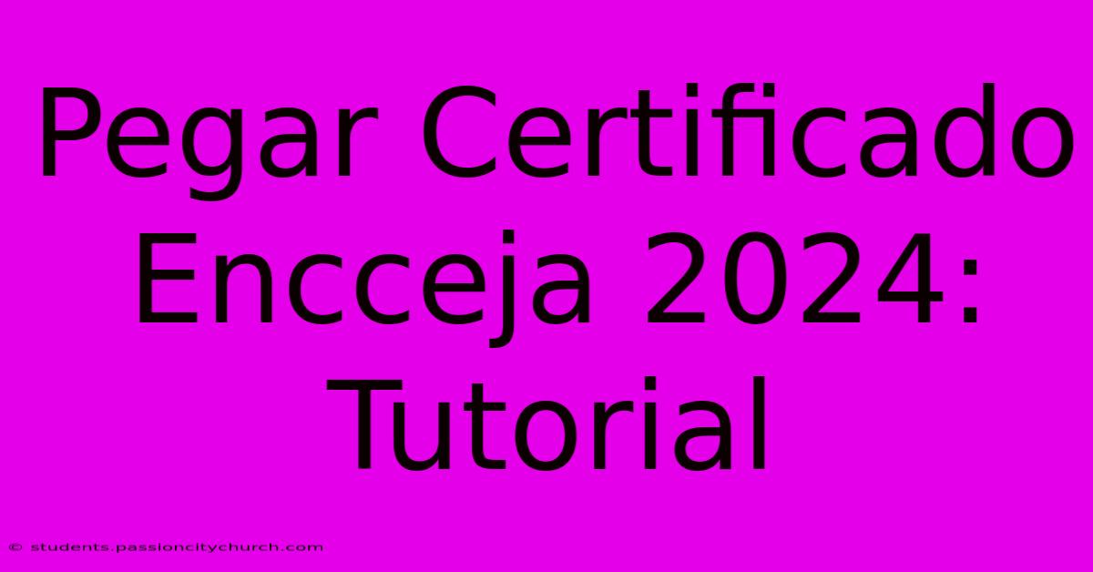 Pegar Certificado Encceja 2024: Tutorial