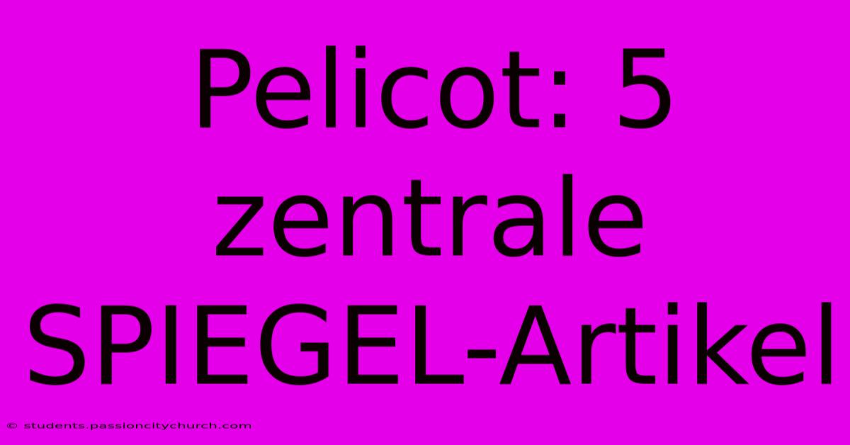 Pelicot: 5 Zentrale SPIEGEL-Artikel