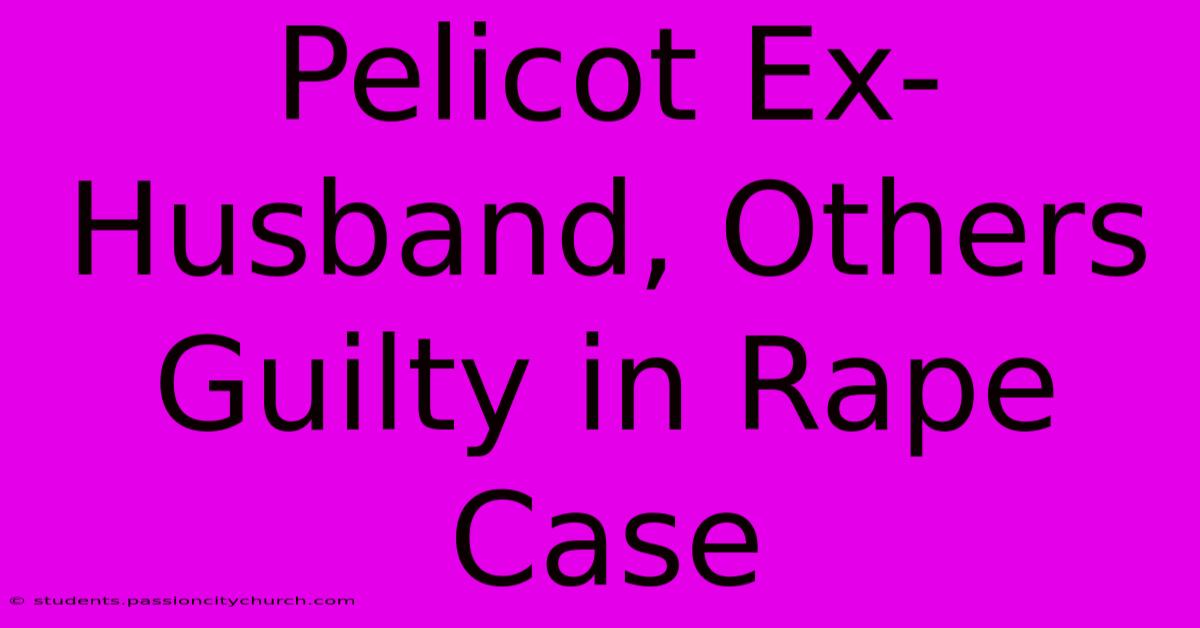 Pelicot Ex-Husband, Others Guilty In Rape Case