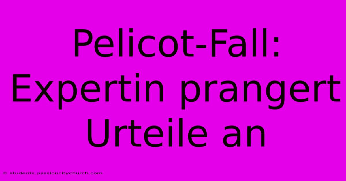 Pelicot-Fall: Expertin Prangert Urteile An