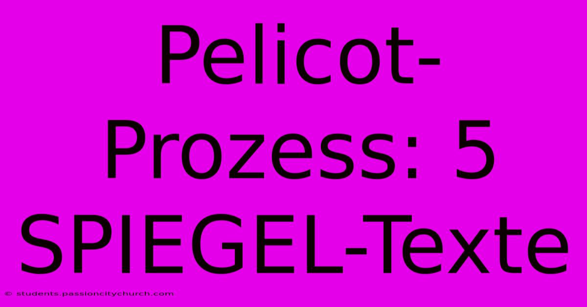 Pelicot-Prozess: 5 SPIEGEL-Texte