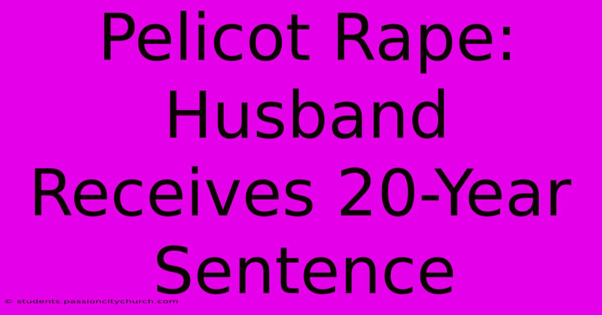 Pelicot Rape: Husband Receives 20-Year Sentence