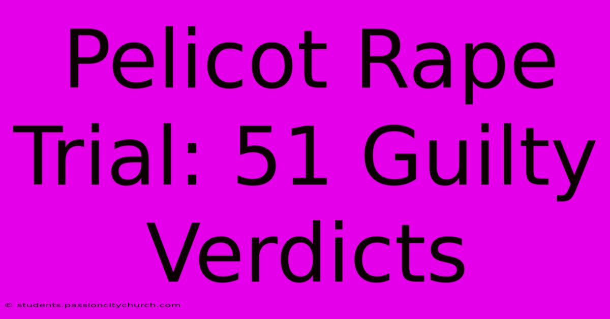 Pelicot Rape Trial: 51 Guilty Verdicts