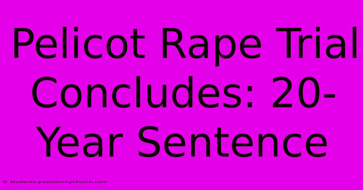 Pelicot Rape Trial Concludes: 20-Year Sentence